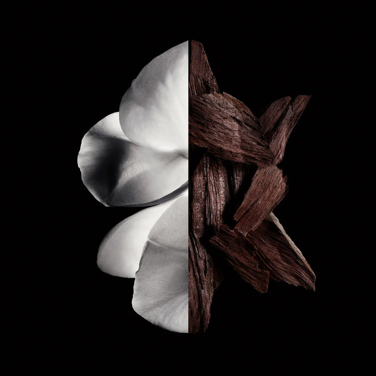 3274872451698_P011158_GIVENCHY-GENTLEMAN_EAU-DE-PARFUM-BOISEE_2